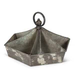 Divided Display Tray