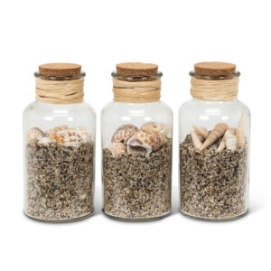 Shells in Bottle