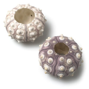 Sputnik Sea Urchin 2.5"