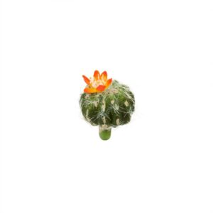 Artificial Cactus Plant Pick