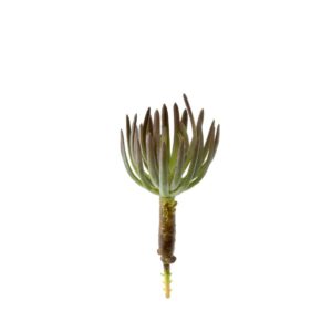 Artificial Succulent Pick