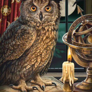 The Astrologer 1000 Piece Jigsaw Puzzle
