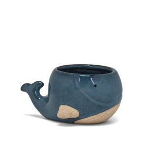 Blue Whale Planter small
