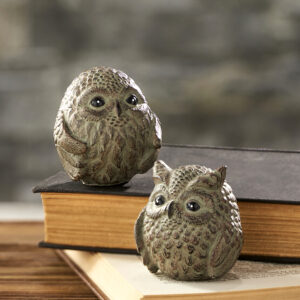 Owl W/ Black Accents