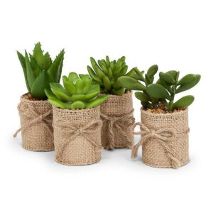 Asstd Succulents in Burlap Wrap