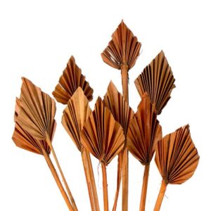 Mini Palm Spears orange