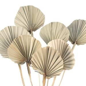 Round Palm Spear Natural