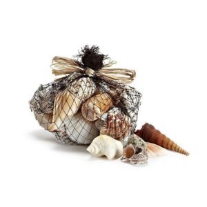 Bagged Shells large pack