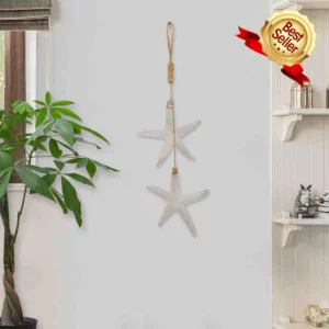 Hanging Starfish
