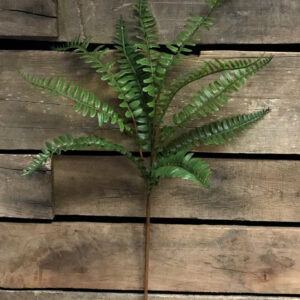 Fern Spray fresh touch 26"