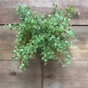 Baby tears light green 12" spray