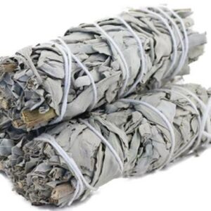 California White Sage 3-4"