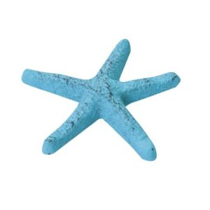 Cast Iron Starfish Small Lt blue