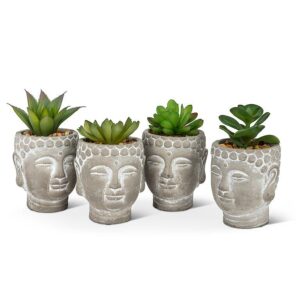 Succulents in Buddha Head Pot