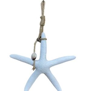 Starfish on a rope