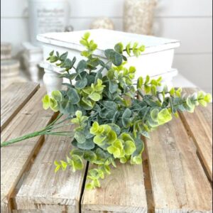 Eucalyptus stem  13"