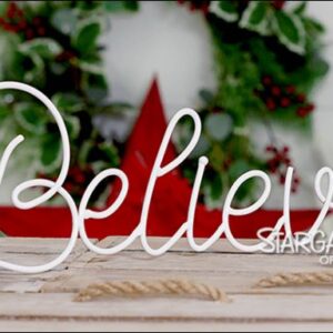 Believe wire sign 13.5" X 5" white