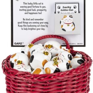 Lucky Little cat  Pocket Charm