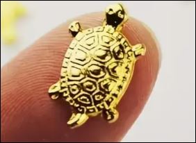 5 Japanese money turtle GOOD LUCK