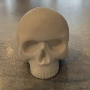 Skulls resin decor