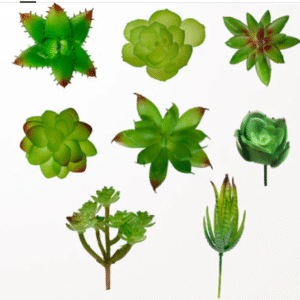 Artificial plants  assorted