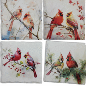 Cardinal stone coasters