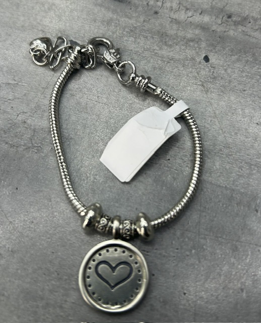 Stainless steel Charm Bracelet silver with pendant