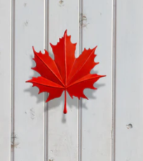 Red Maple Leaf mini  metal