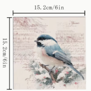 SET OF4 6x6" winter bird decorative paper