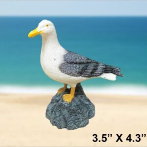 Seagull  4.25"