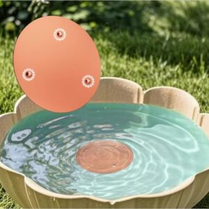 Copper Bird Bath Disk