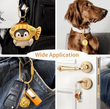 Brass Key ring and Lock cylinder - Image 2