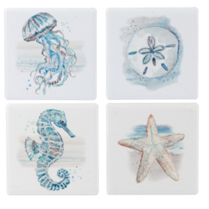 Magnet coastal assorted