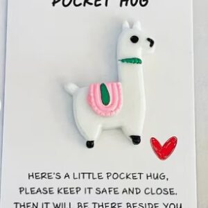 Llama pocket hug