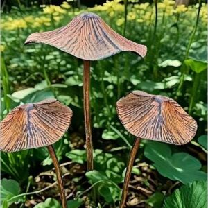 Mushroom 3pce rustic design metal