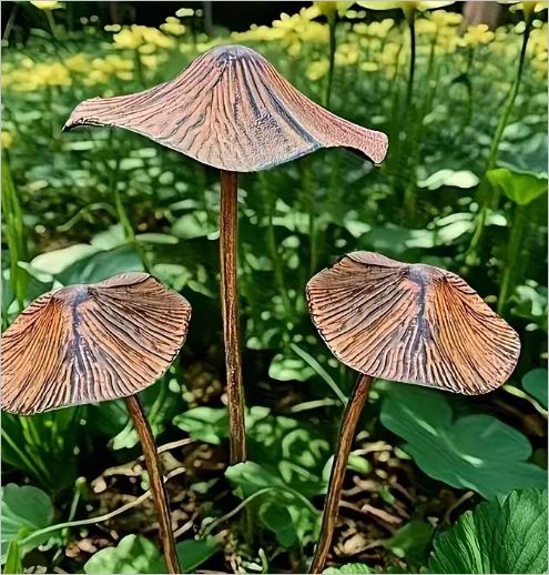 Mushroom 3pce rustic design metal