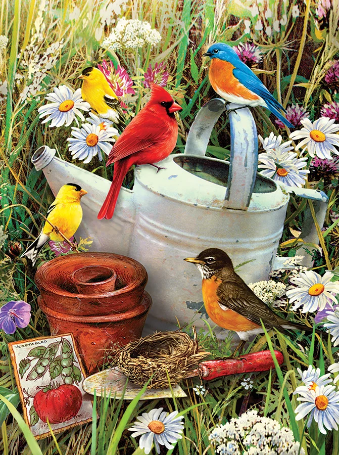Garden Birds paint by number