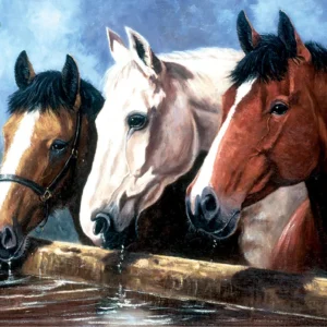 Three of a Kind Paint by Numbers Large