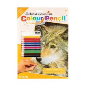 Curious Eyes COLOUR PENCIL BY NUMBERS