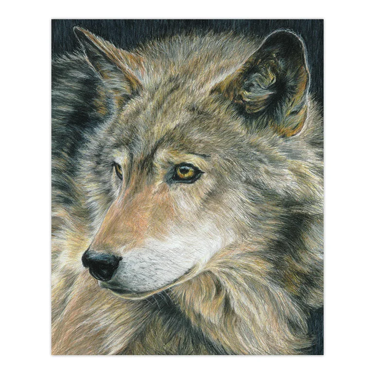 Curious Eyes COLOUR PENCIL BY NUMBERS - Image 2