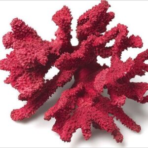 Coral Branch Medium 3D