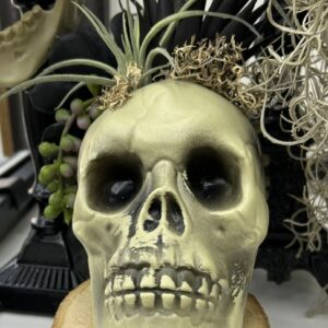 Halloween skull decor1