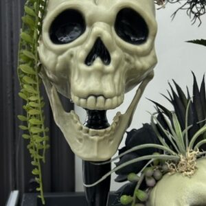 Halloween skull decor2